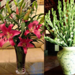 Cách cắm hoa bàn thờ tổ tiên giúp thu tài, đón may mắn trong nhà