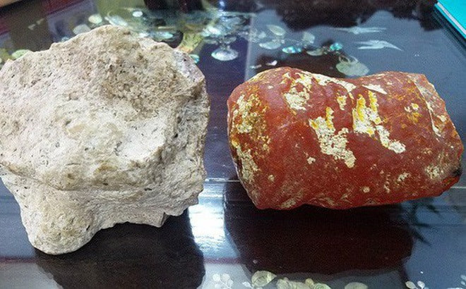 Long diên hương - một trong những thành phần quý hiếm của nhang cúng